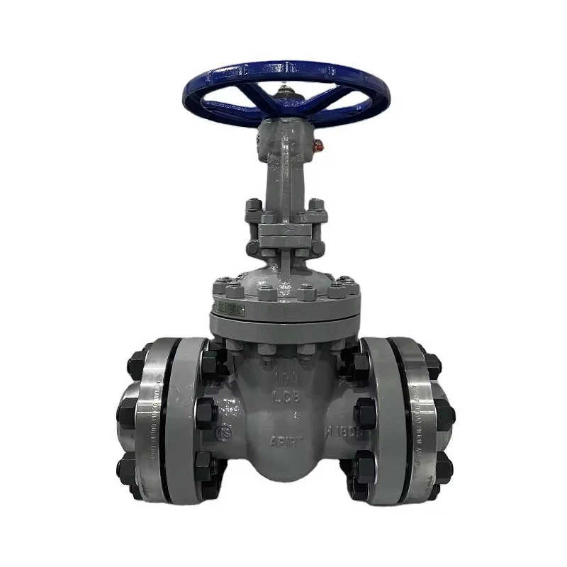 Stainless Steel Cryogenic Gate Valves