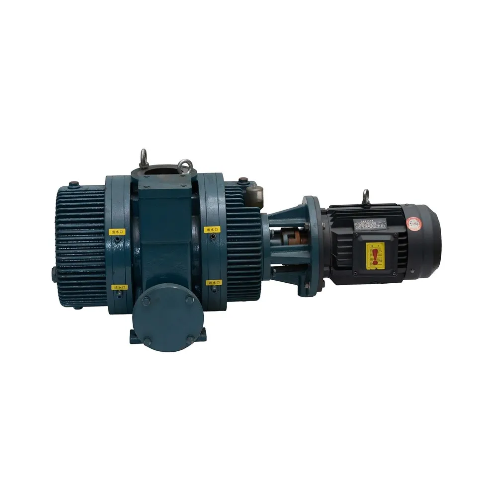 Roots vacuum pumps